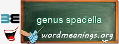 WordMeaning blackboard for genus spadella